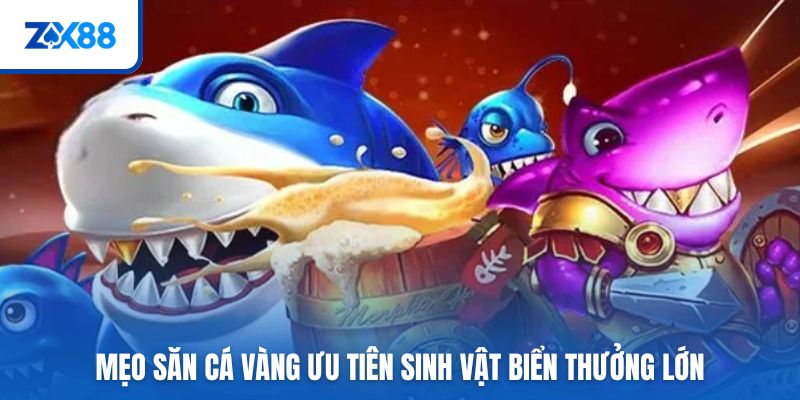 Mẹo săn cá vàng ưu tiên sinh vật biển thưởng lớn